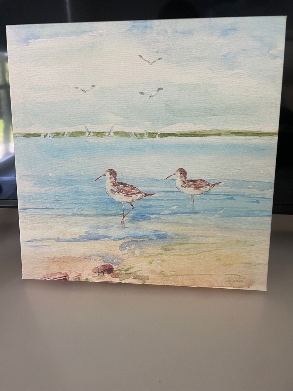 Coastal Shorebirds Watercolor Canvas Art - Blue and Sand
